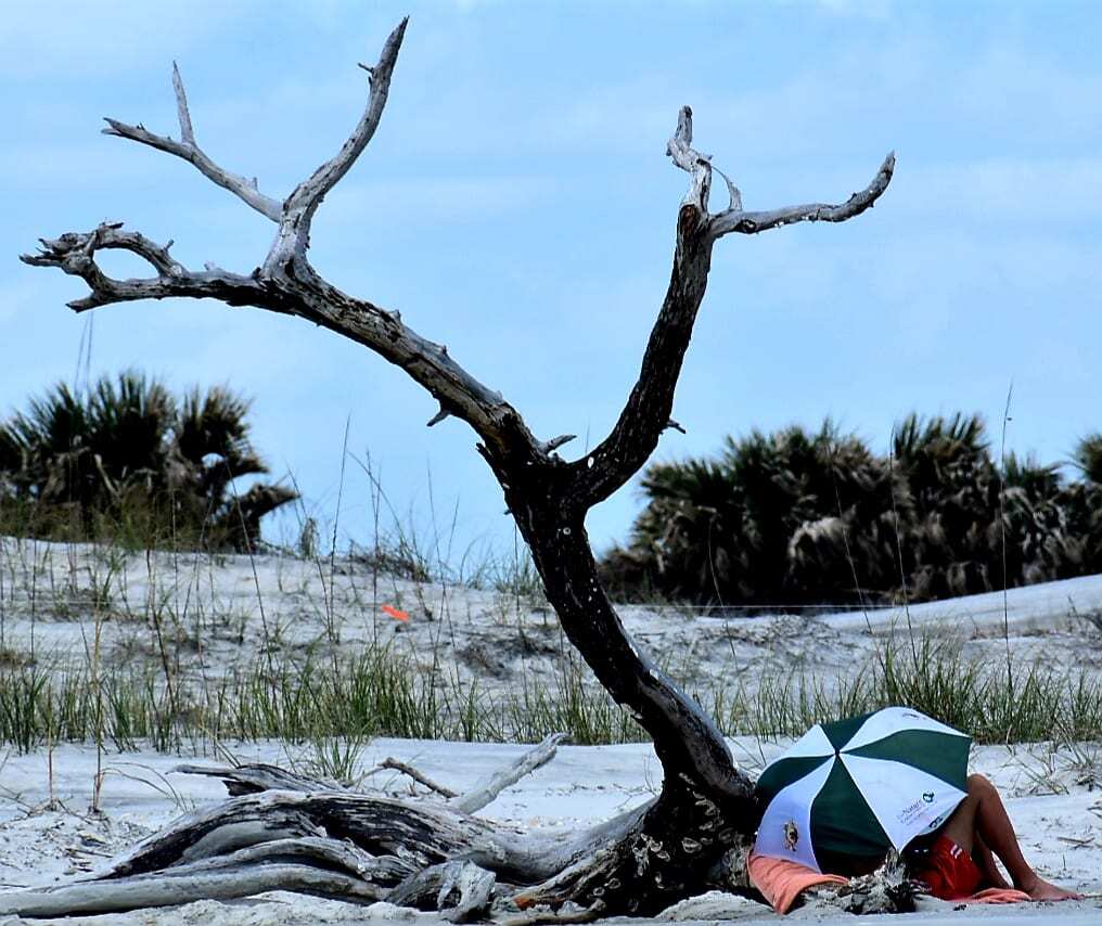 Little Talbot Island State Park is a popular Florida State Park for swimming, fishing, bird-watching, kayaking, wildlife, bike trails, and inexpensive entry cost. It is the perfect day trip for those looking to escape the hustle and bustle of city life and enjoy some unspoiled beauty.