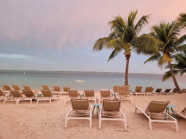 Beach Chairs and palm trees - HILTON BAKER'S CAY RESORT REVIEW -  KEY LARGO, FL, USA