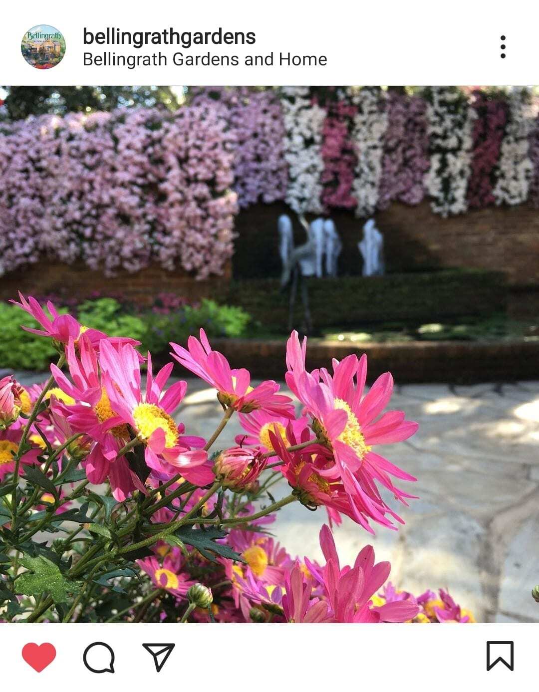 pink and purple flowers in Bellingrath Garden Alabama