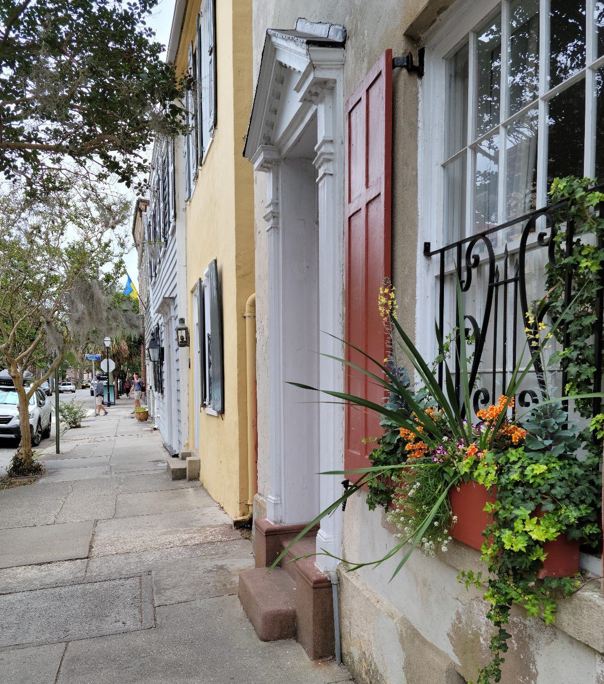 Charleston's downtown: rows of pastel-colored homes showcasing the city's historic charm and vibrant character.