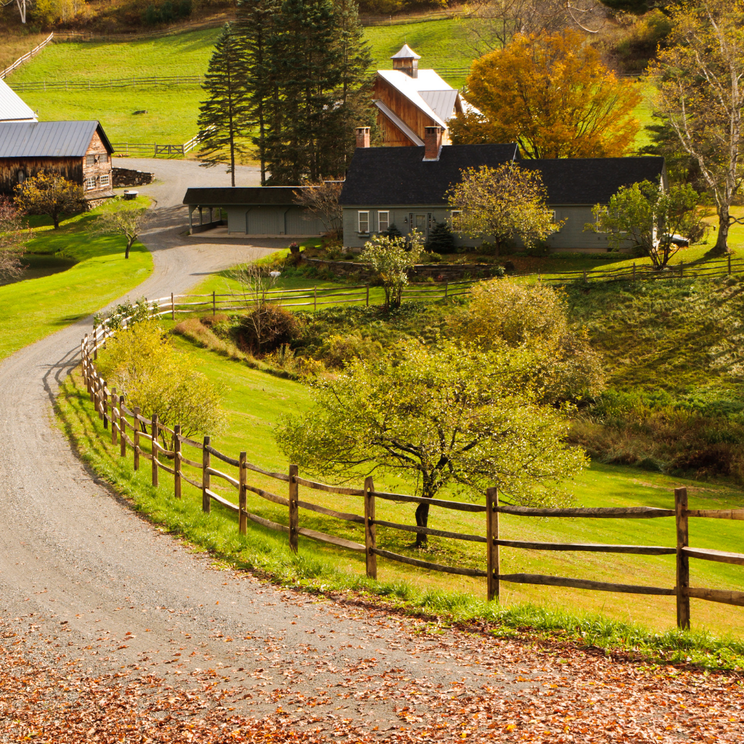 "Scenic view of a picturesque country road winding through a lush green landscape dotted with charming farmhouses and barns in Manchester, Vermont."