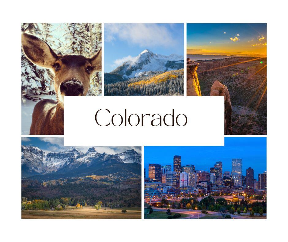 olorado's breathtaking montage: Rocky Mountain majesty, high desert beauty, urban lights, and serene landscapes in a captivating collage.