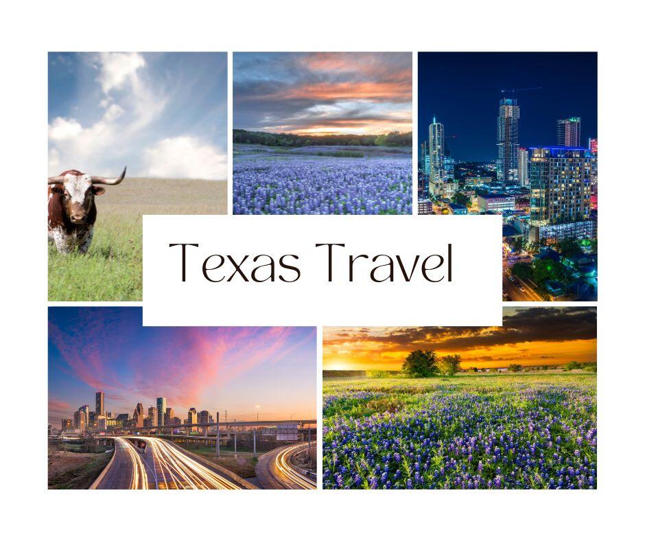 Texas' vast canvas: Desert horizons, coastal charm, rolling landscapes, and city lights in a captivating Lone Star State collage.