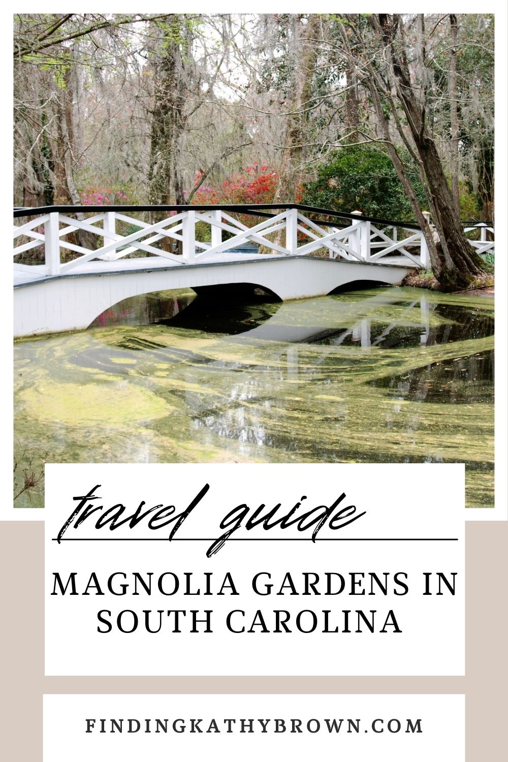 Magnolia Gardens in Charleston South Carolina 